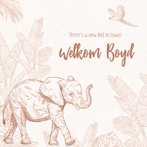 Felicitatiekaart geboorte zoontje met olifant in jungle