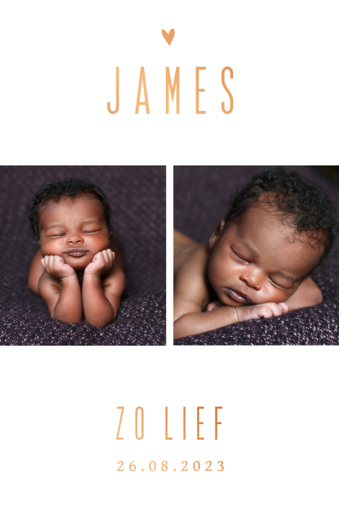 Folie geboortekaartje met foto's newborn shoot