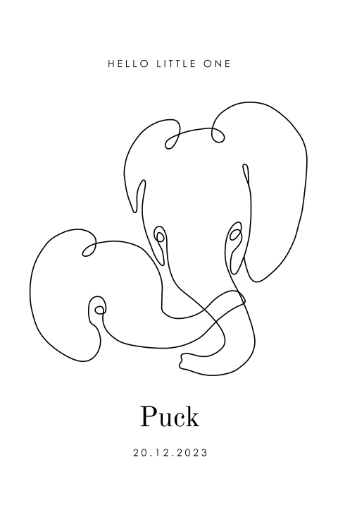 Geboortekaartje dieren olifantje