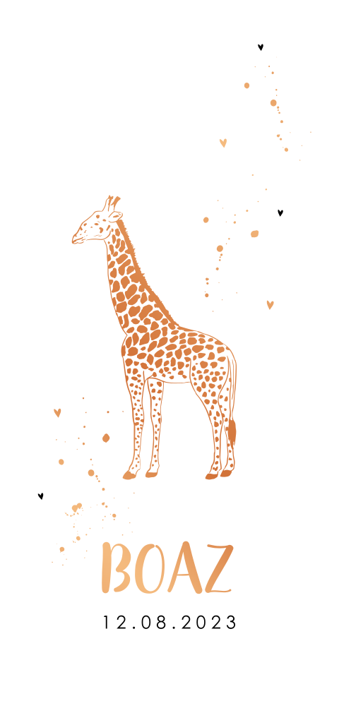 Geboortekaartje jongen koperfolie giraffe