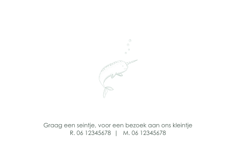 Geboortekaartje jongen Little Dutch Ocean walvis eenhoorn