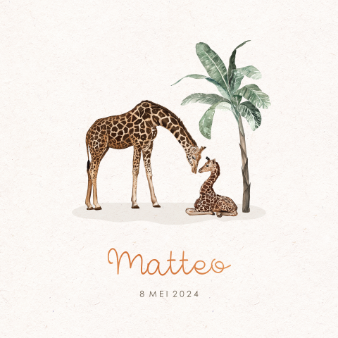 Geboortekaartje jongen met giraffen en koperfolie