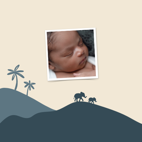 Geboortekaartje jongen met landschap en olifantjes