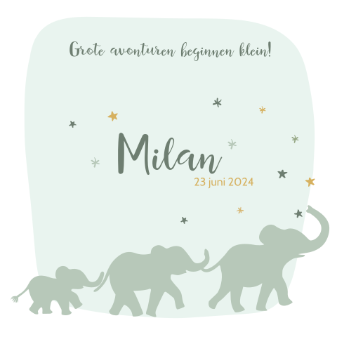 Lief en hip geboortekaartje voor jongen met silhouet van olifantjes