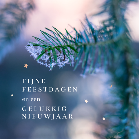 Zakelijke kerstkaarten | Premium ontwerpen met goudfolie