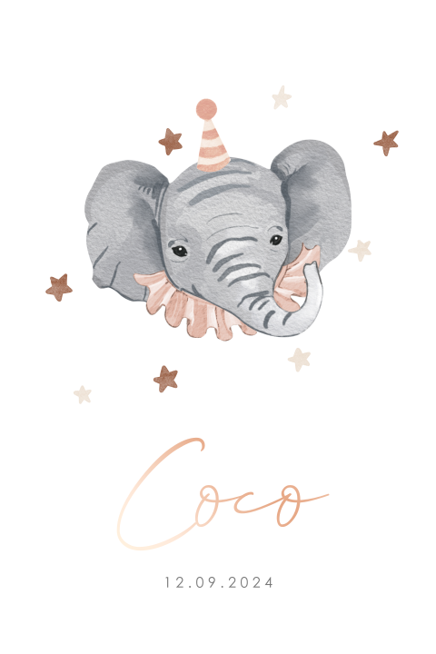 Lief geboortekaartje meisje met circus olifantje en roséfolie