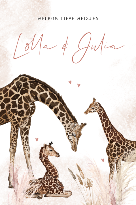 Lief geboortekaartje tweeling meisjes giraffen