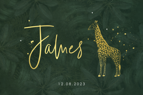 Origineel geboortekaartje voor jongen met giraffe in jungle stijl