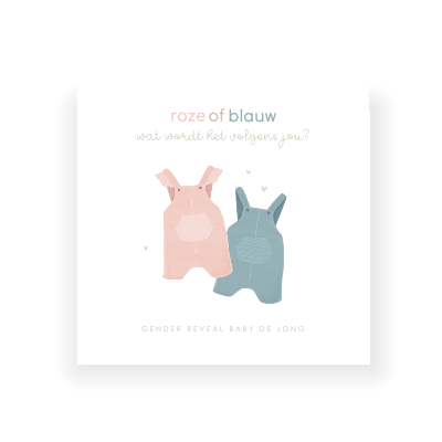 gender-reveal-uitnodiging-met-roze-en-blauw-kleertjes